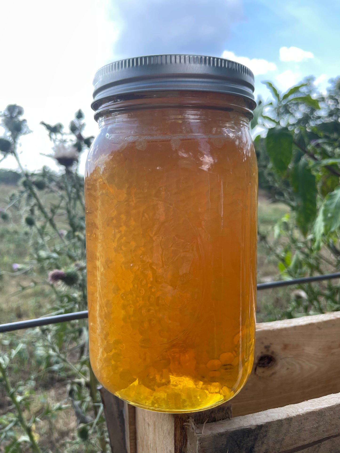 Honey with comb (Quart) - BACKYARD BUZZ 